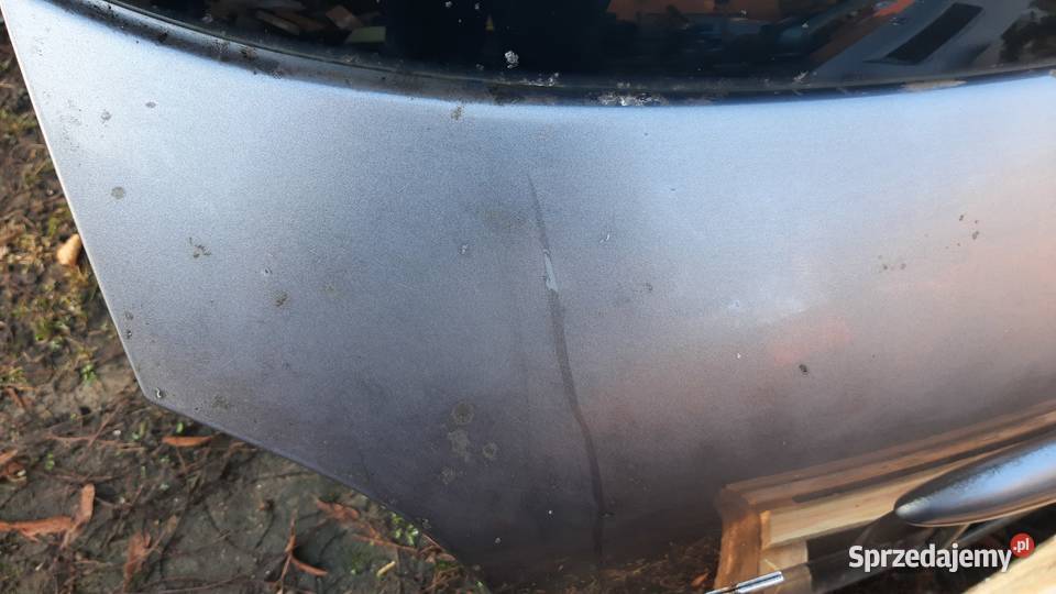 klapa kompletna Peugeot 206 206 plus lak KTH osobowe Klapy bagażnika Dębno