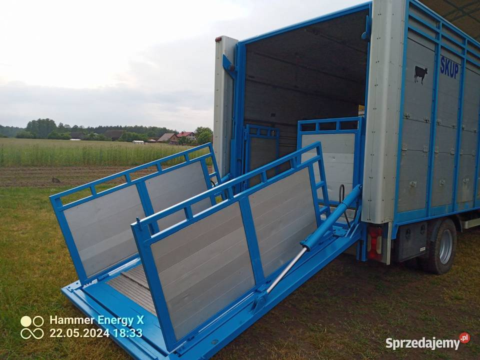 iveco daily 70C17 do przewozu zwierząt Iveco Brzeźnica