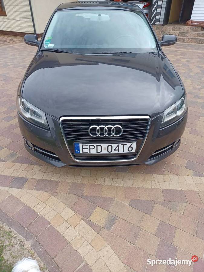 Audi A3 Audi A3 20 TDI CR 140 Ambition Ozorków sprzedam