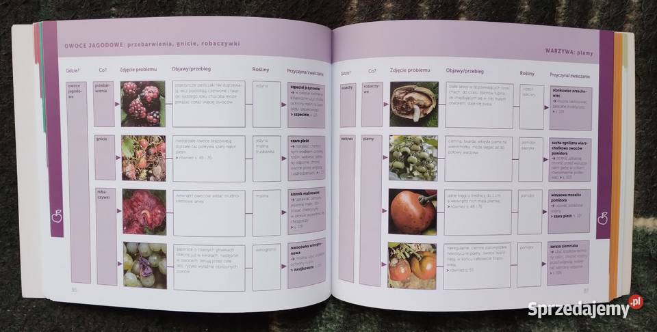 Choroby roślin Thomas Schuster Bełchatów