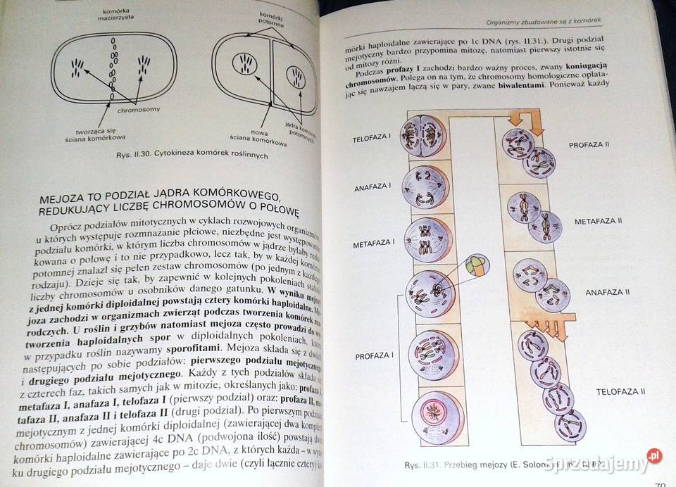 Botanika i biologia komórki Andrzej Batko W Pozostałe Chełm