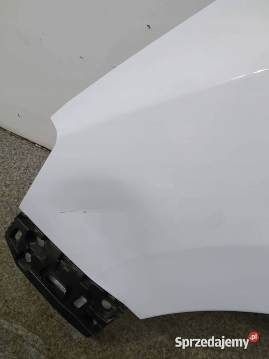 BŁOTNIK LEWY PRZÓD D389 Dacia Dokker I 2012 Rok produkcji 2015 świętokrzyskie