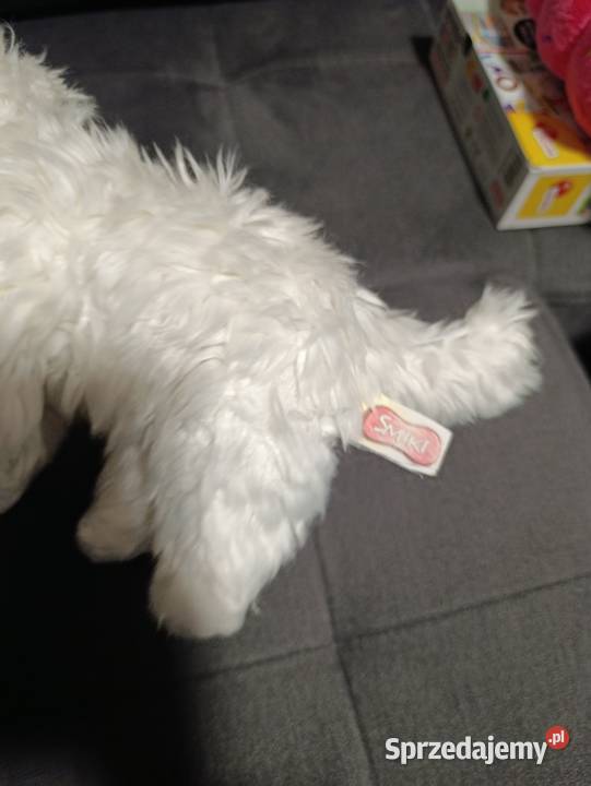 kot biały pluszak maskotka zabawka pluszowa Poznań