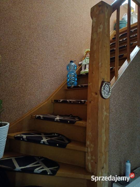 Sprzedam dom 10000m2 Olecko