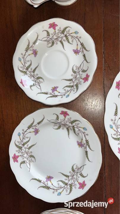 Serwis Fancy Free z Standart England Gdańsk