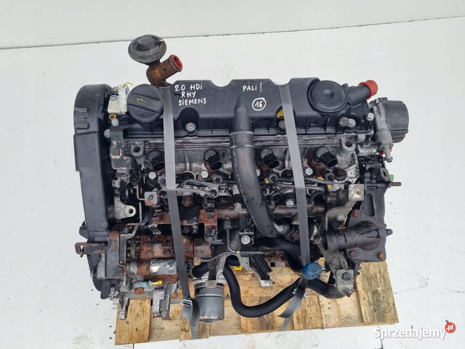 SILNIK KOMPLET Citroen C5 20 HDI 0104r siemens osobowe Motoryzacja Janów