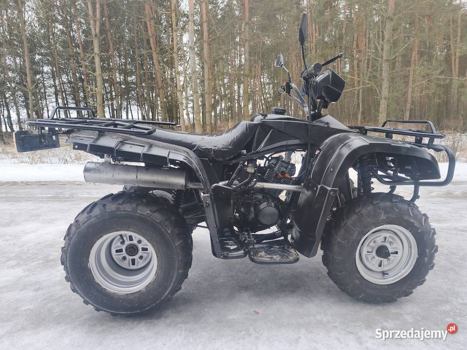 Quad 250 Zajerejestrowany Dobryń-Kolonia