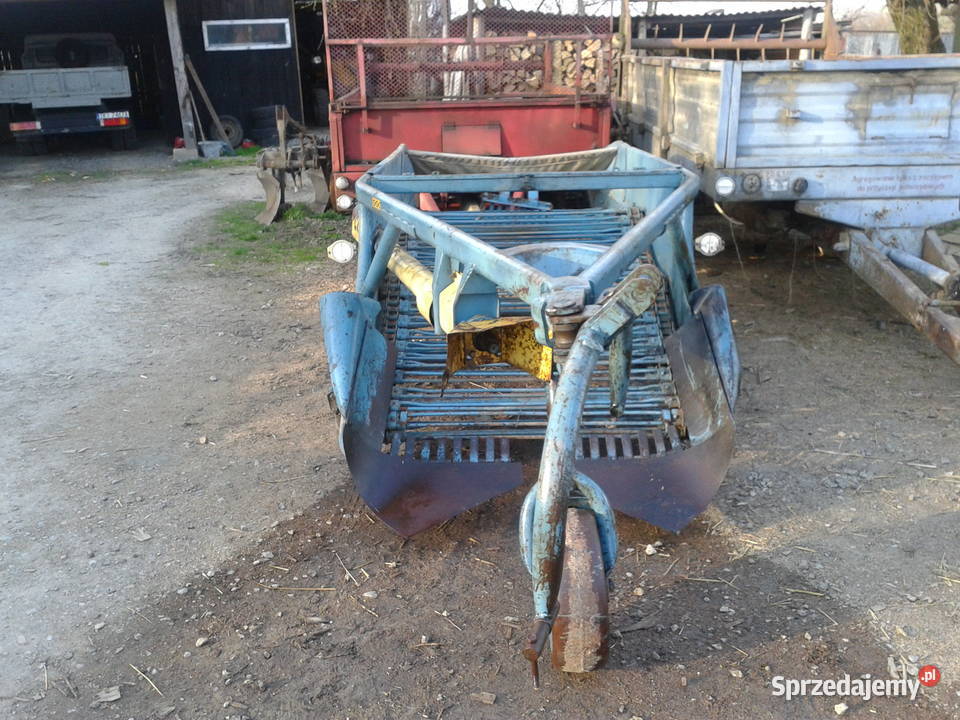 kopaczka do ziemniaków elewatorowa Nowa Słupia
