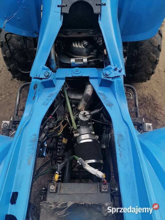 Bashana 200 Bashan Seroczyn