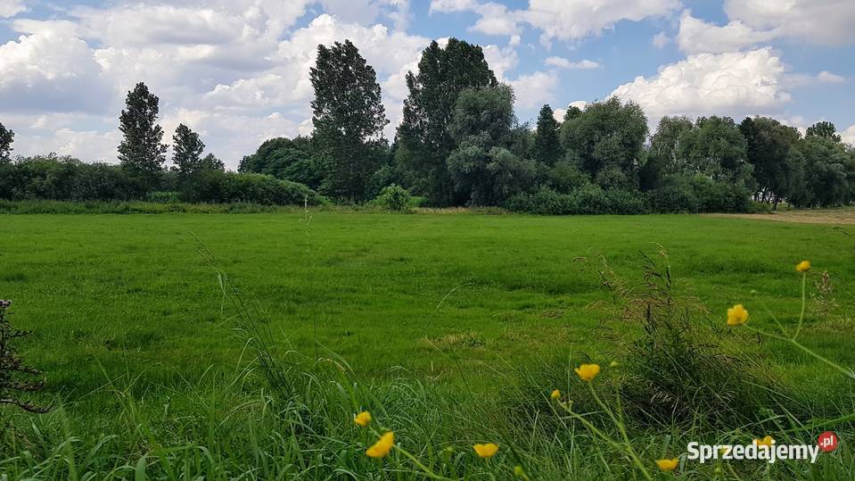 Działka z planem energia i natura czego chcesz Poddębice