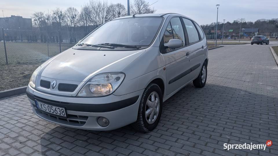 Renault Scenic 2001r 16 benzyna sprawna 110KM lubelskie Rejowiec Fabryczny