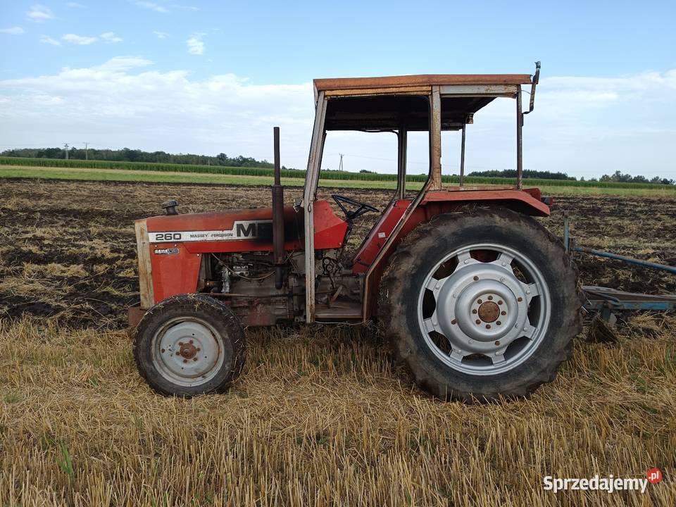 Massey Ferguson MF 260 Napęd 2x4 świętokrzyskie Busko-Zdrój