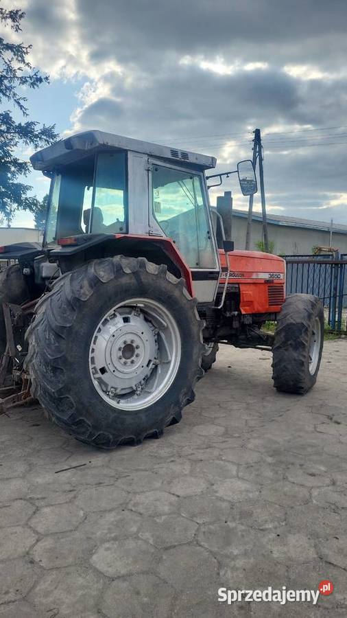 Massey Ferguson 3650 Radzyń Podlaski