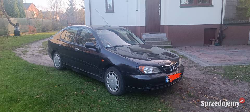 Sprzedam Nissana Primera P11 20 td 2001r nieuszkodzony Szydłowiec