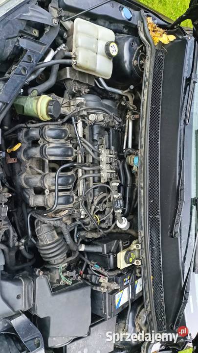 Ford Focus MK2 GHIA 16bg 05r małopolskie Tarnów sprzedam