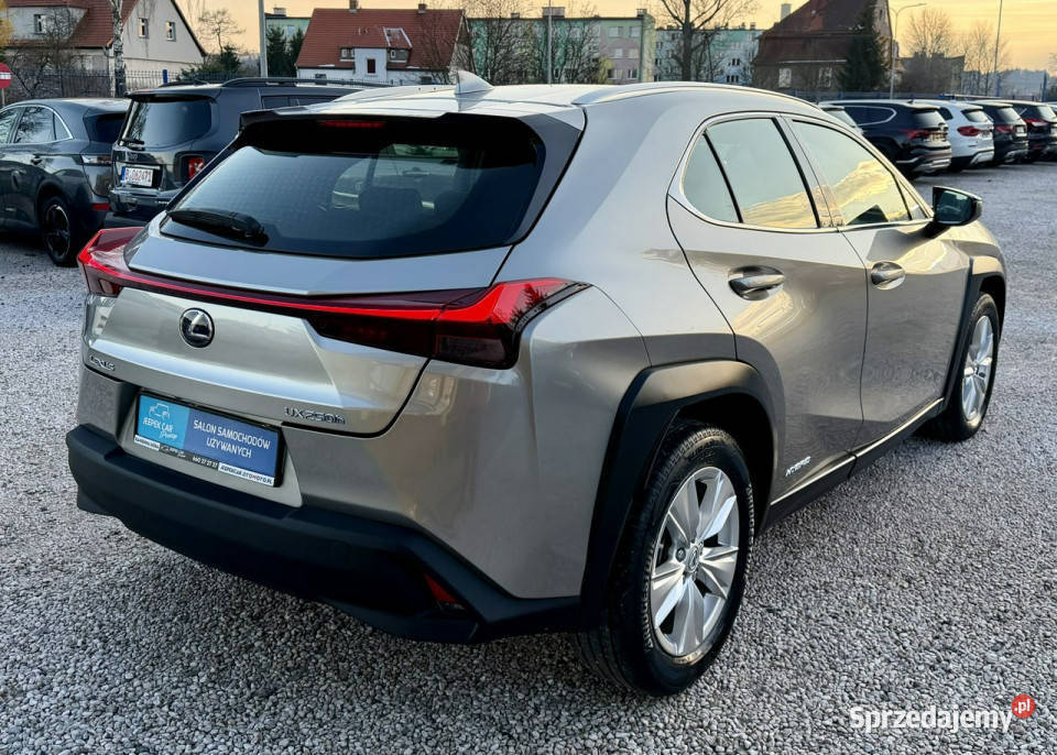 Lexus UX 250hHybrydaIdealnyGwarancja bluetooth Kamienna Góra