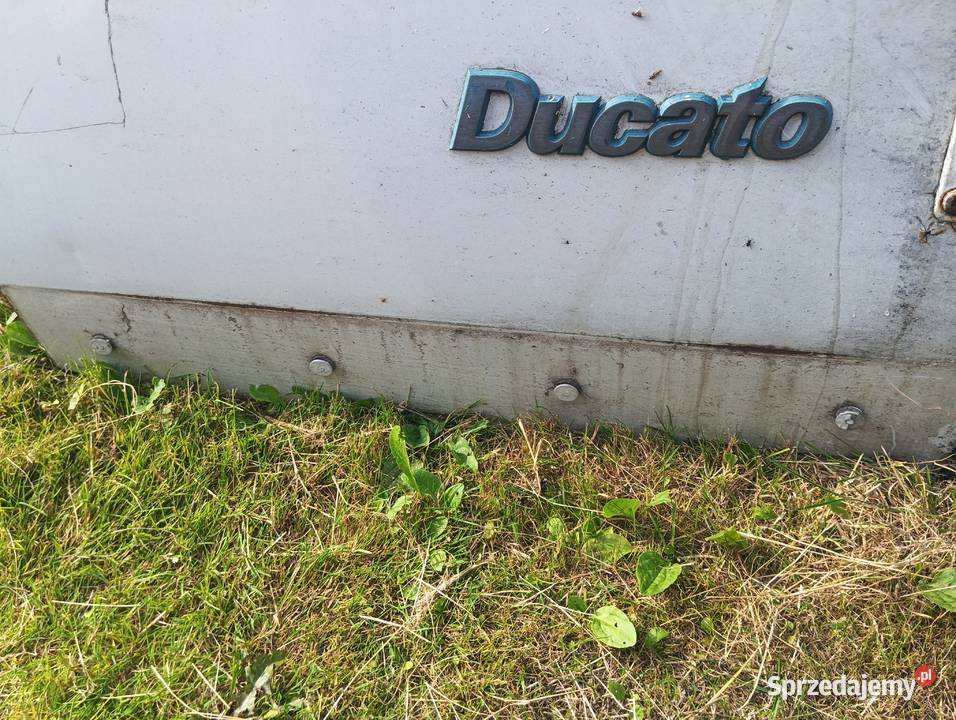 Drzwi tylne skrzydełka Fiat Ducato II Boxer Krotoszyn