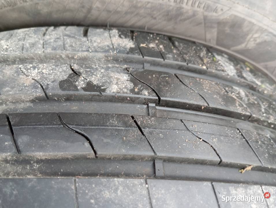 Opony i alusy 15 Sąspów