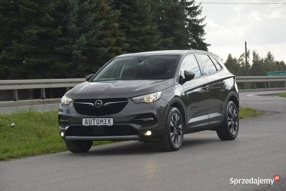 Opel Grandland X 15 D nawi Asist Park Android Sędziszów Małopolski