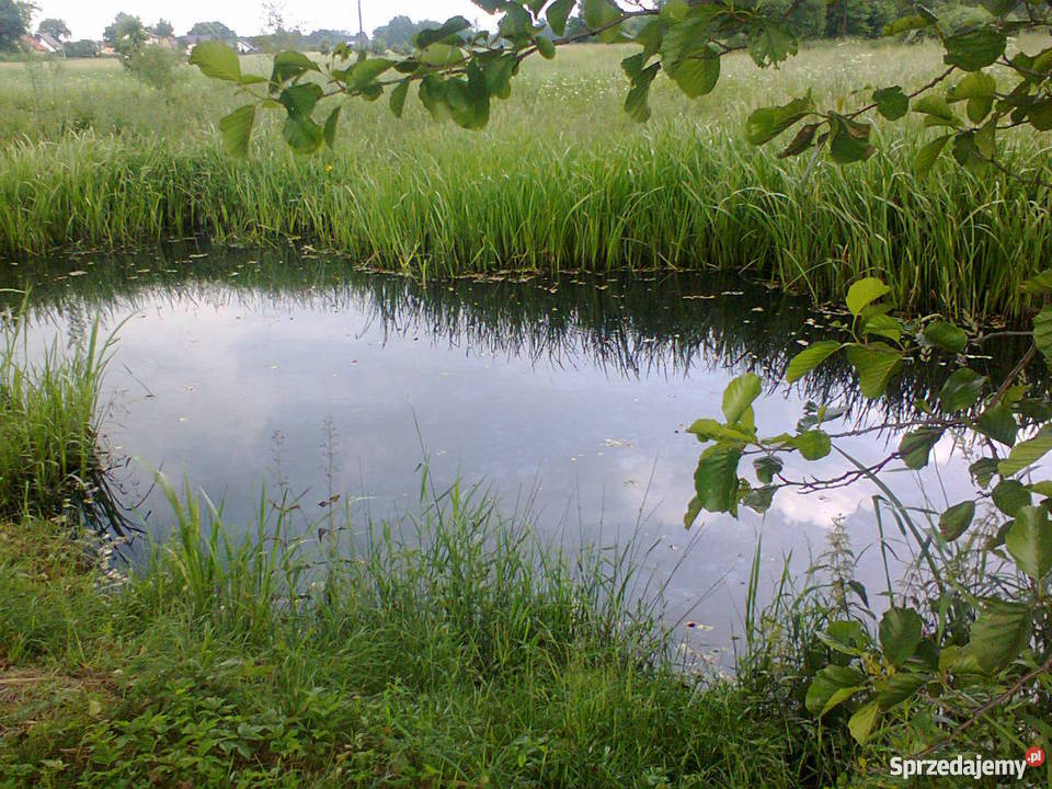 Dom działki Kośmidry kLublińca Kośmidry