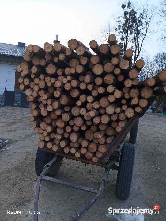 Stemple budowlane sosnowe 3m duże ilości stała Wielkie Oczy