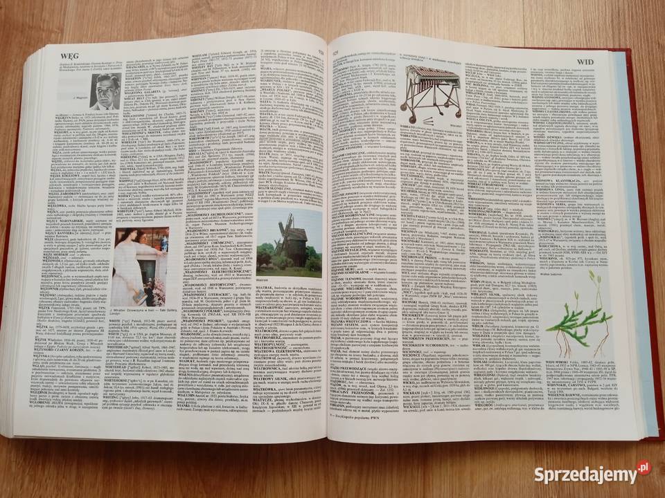 Encyklopedia Popularna PWN Praca zbiorowa wielkopolskie Poznań