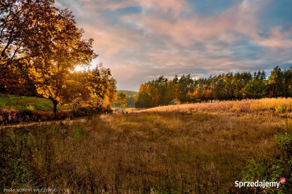 Mazowsze działka marzeń na wzgórzu las i cisza mazowieckie