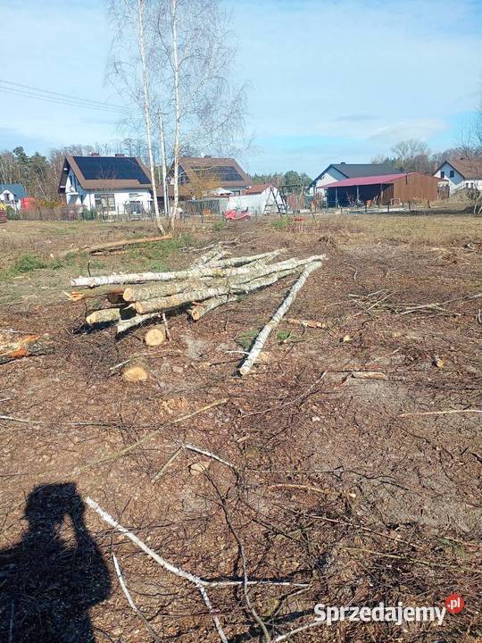 drewno brzoza opałowa dowóz Mińsk Mazowiecki