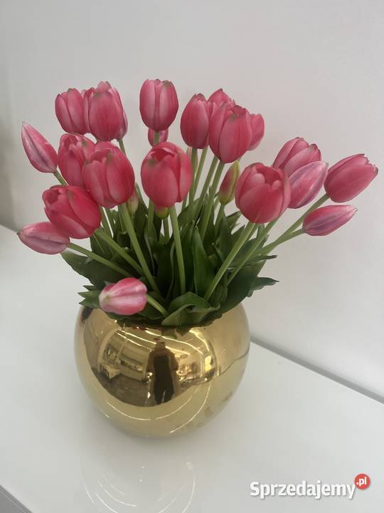 Bukiet tulipanów gumowych 7 sztuk Premium kolor Golkowice