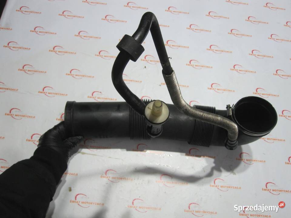 PORSCHE CAYENNE 05r 32 V6 BFD M02 M2Y 250 rura Kielce