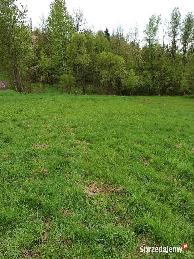 Działka budowlana na sprzedaż prąd śląskie Przyborów