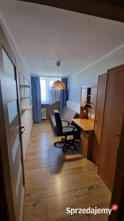 Oferuję bezpośrednio do wynajęcia dwupokojowe Al Wynajem Warszawa sprzedam