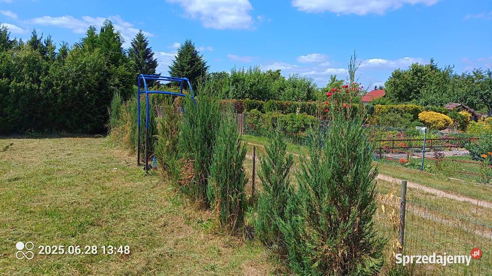 Działka rekreacyjna Rod Biedronkaprąd woda Lubin sprzedam