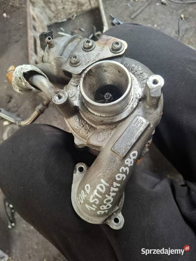 FORD 15 TDCI citroen peugeot 16 HDI osobowe Kielce