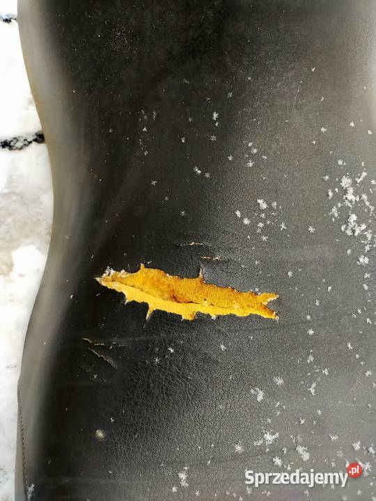 BMW R1100 kanapa podkarpackie