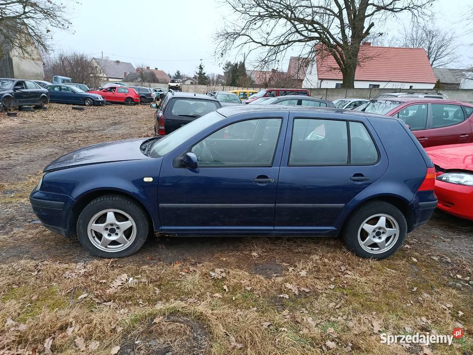 Volkswagen Golf IV 14 55 kW 1999 r dawca części Rok produkcji 1999 Szklarka Myślniewska