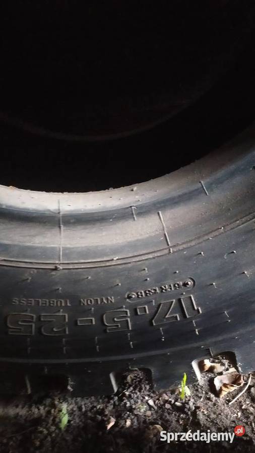 Opona pomorskie Czerniki