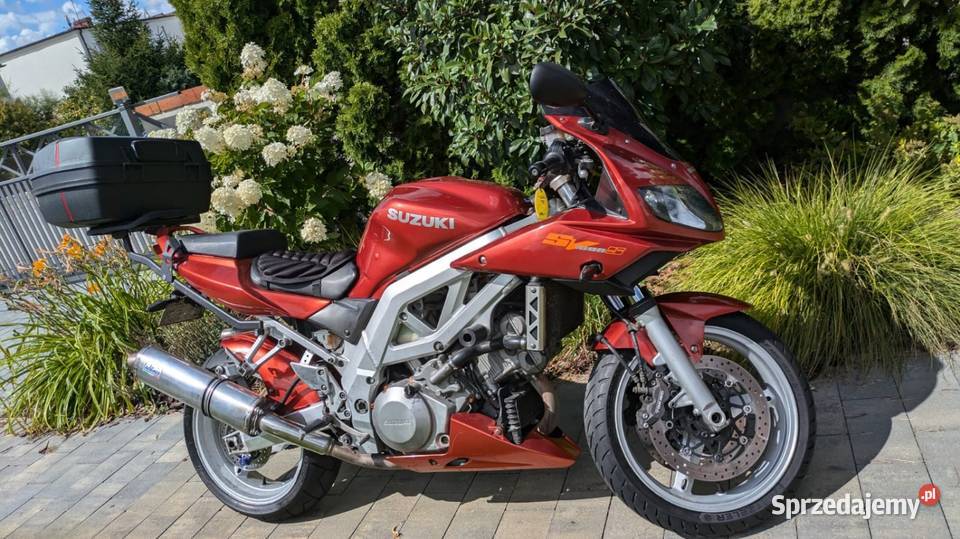 Suzuki SV 1000 Śrem