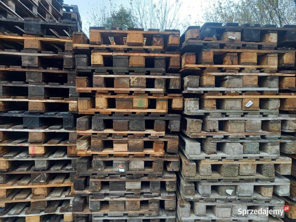 Palety Euro II Gatunek Magazynowanie Magazynowanie Warszawa