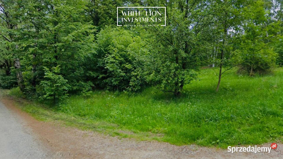 Działka Studzienno 3068m2 Sprzedaż