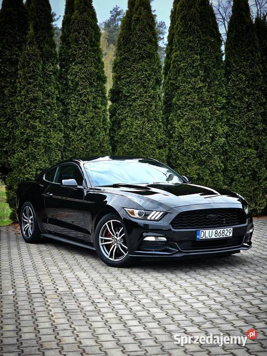 Ford Mustang 37 BenzynaLPG Automat Zamiana Quad czarny