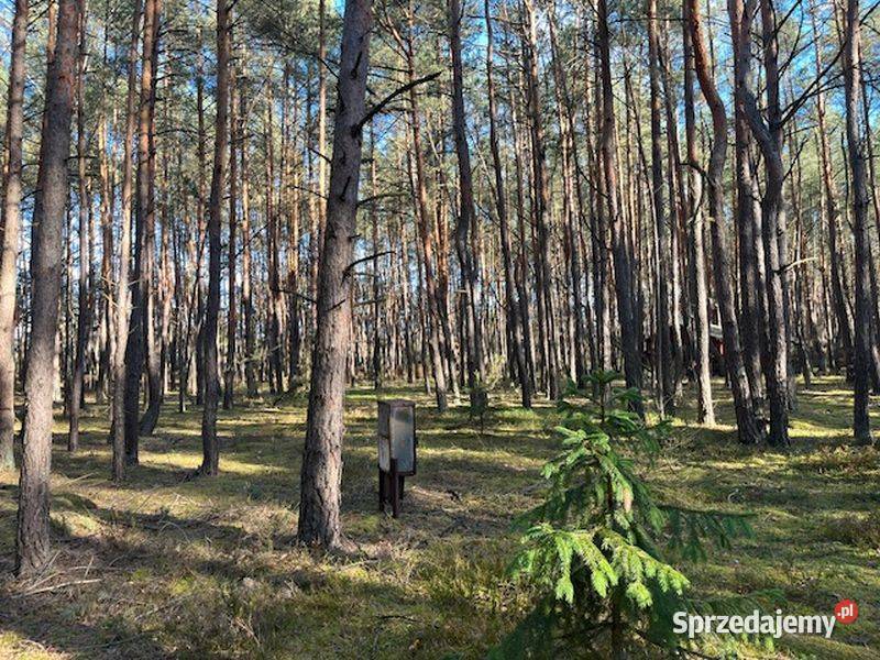 Syndyk sprzeda udział 12 w działce w Nowym Nowy Żabieniec sprzedam