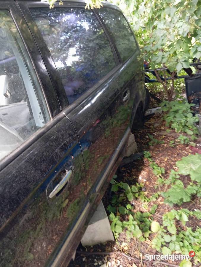 Drzwi Hyundai Trajet czarne 2005 osobowe Pozostałe kujawsko-pomorskie Radziejów