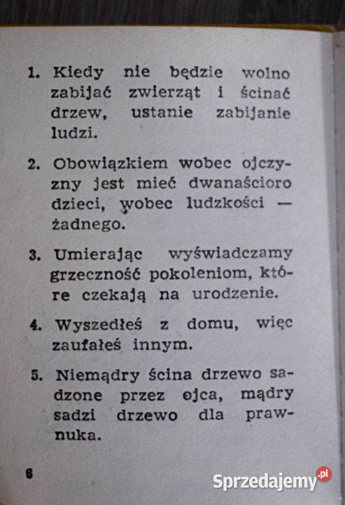 Krzysztof Kąkolewski Sądy Sondy Miniatura