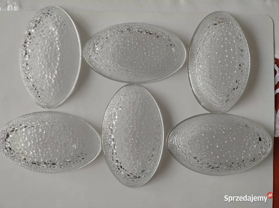 Asteroid miseczki śledziówki śląskie Żory