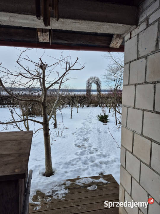 Działka ROD Mickiewicza asfalt