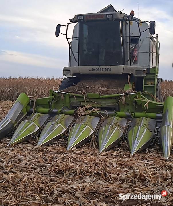 Przystawka do kukurydzy Claas Multimaster 6 Wólka-Przedmieście