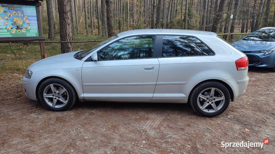 AUDI A 3 8 P TGI 19 Wrocław