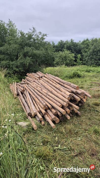 Żerdzie słupki sosnowe okorowane dolnośląskie Syców