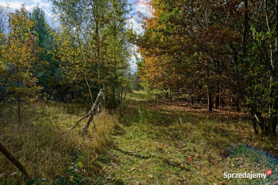 Działka budowlana 1501m2 Henryszew gm Jaktorów Sprzedaż Grunty i działki